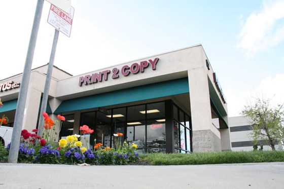 Copy4Less New York: Hannah Patty